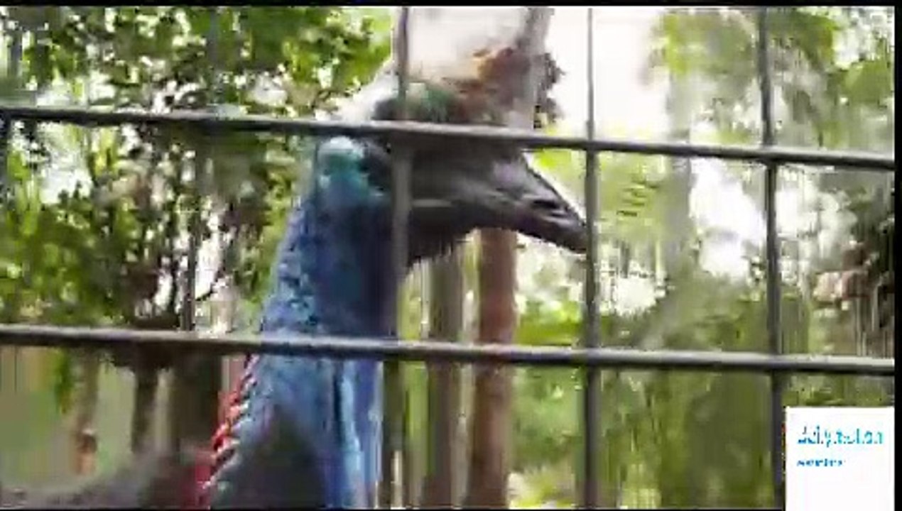 Australia with Julia Bradbury - Season 1 Episode 2 - Blue Mountains | Australia with Julia Bradbury - S0 1 Epi 2 - Blue Mountains