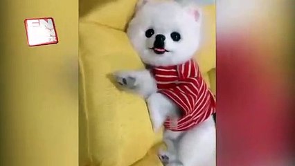 Dışarıya yansıttığım - Aslında olan