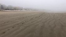 La Baule   | Chic, de la Brume - Télé La Baule
