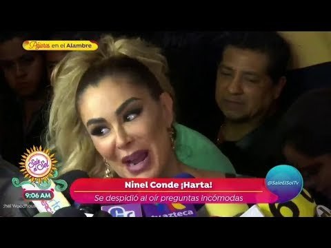 ¿Ninel Conde copió los diseños de su línea de ropa? | Sale el Sol