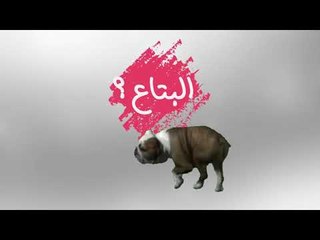 موقع الحكاية يقدم : "البتاع ؟".. تعرفوا ايه هو؟ كل يوم فزورة جريئة .. انتظرونا