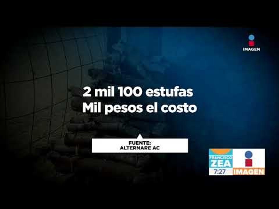 Este es el esfuerzo conjunto que se realiza para cuidar el hábitat de las mariposas monarcas