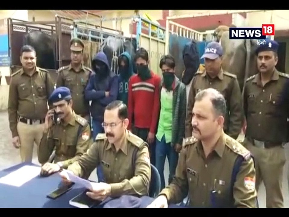 अंतरराज्यीय भैंस चोर गिरोह के 5 सदस्य 9 भैंसों के साथ गिरफ्तार-five members of Interstate buffalo thief gang arrested with 9 buffaloes