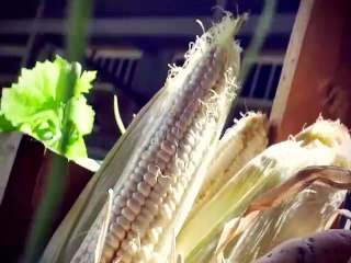 Feast With Me: Comfort food with Bianca Gonzalez