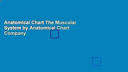 Anatomical Chart The Muscular System by Anatomical Chart Company