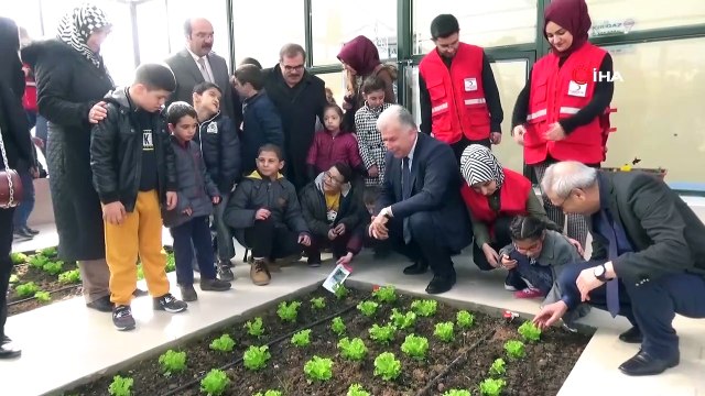 Engelli öğrenciler, kurulan serada organik sebze yetiştiriyor