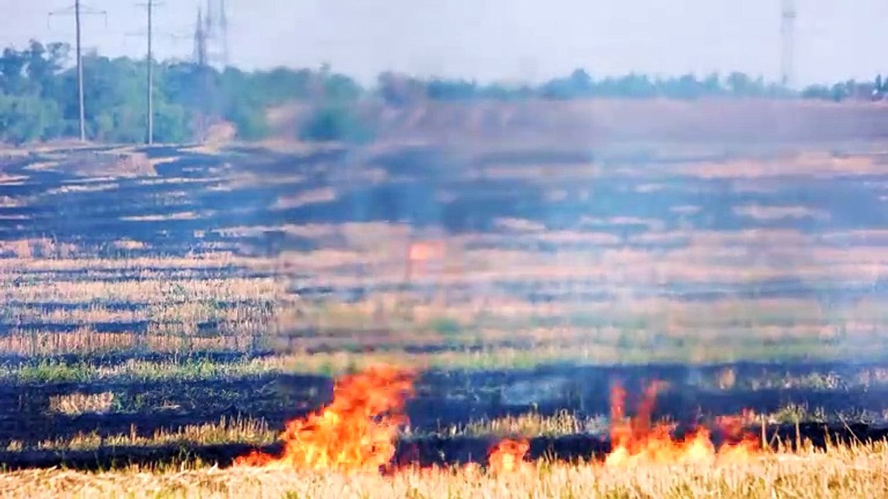 The 'Horrifying' Reality Of Climate Change By The End Of The Century