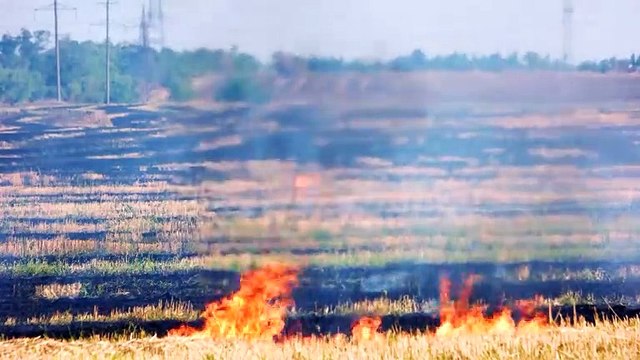 The 'Horrifying' Reality Of Climate Change By The End Of The Century