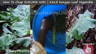 How To Chop Leaf Vegetable SUKUMA WIKI KALE