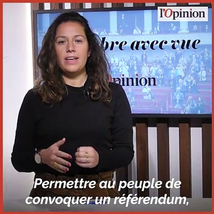 Le référendum d'initiative citoyenne à l'Assemb...