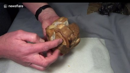 Pork pie Rubik's Cube solved - and then eaten