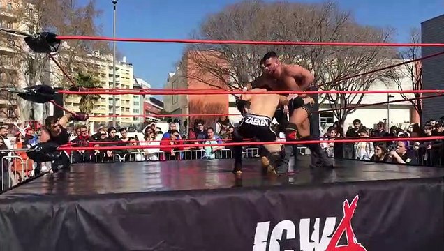 Japan Expo sud à Marseille : des catcheurs font le show à la japonaise