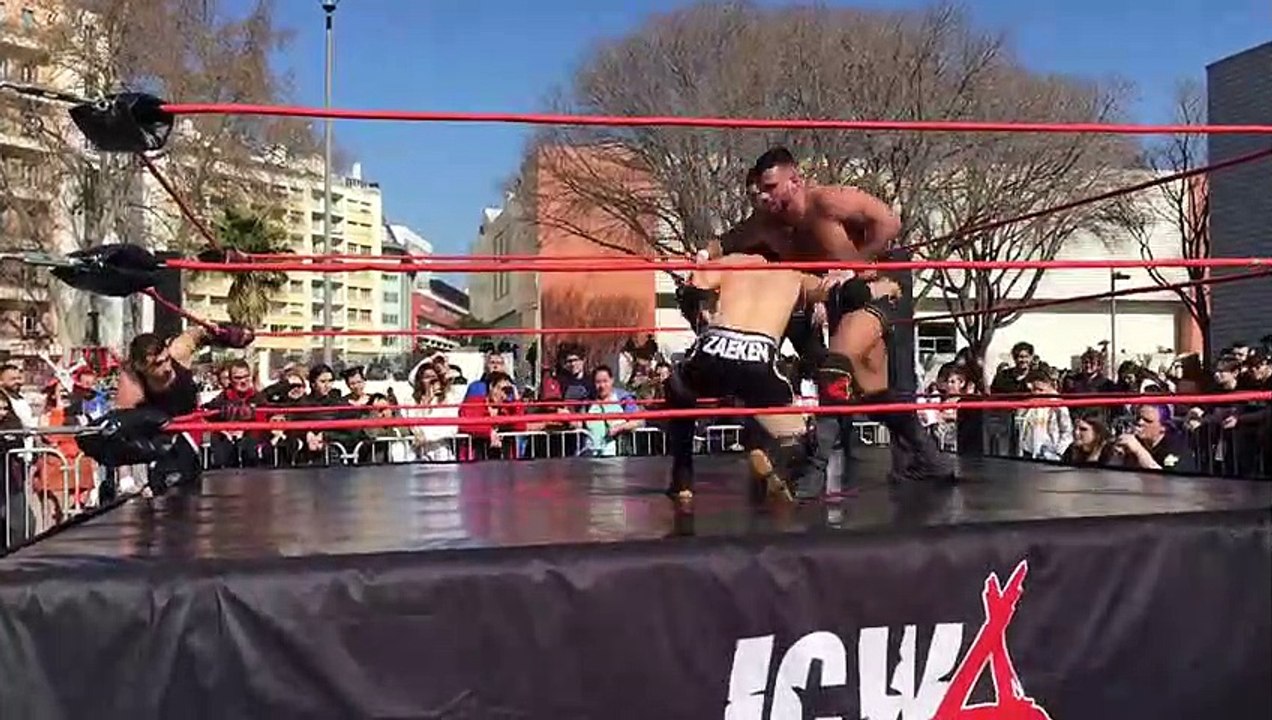 Japan Expo sud à Marseille : des catcheurs font le show à la japonaise