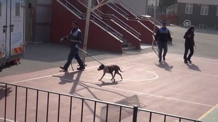 Okula Giren Pitbull Öğrencilere Saldırdı