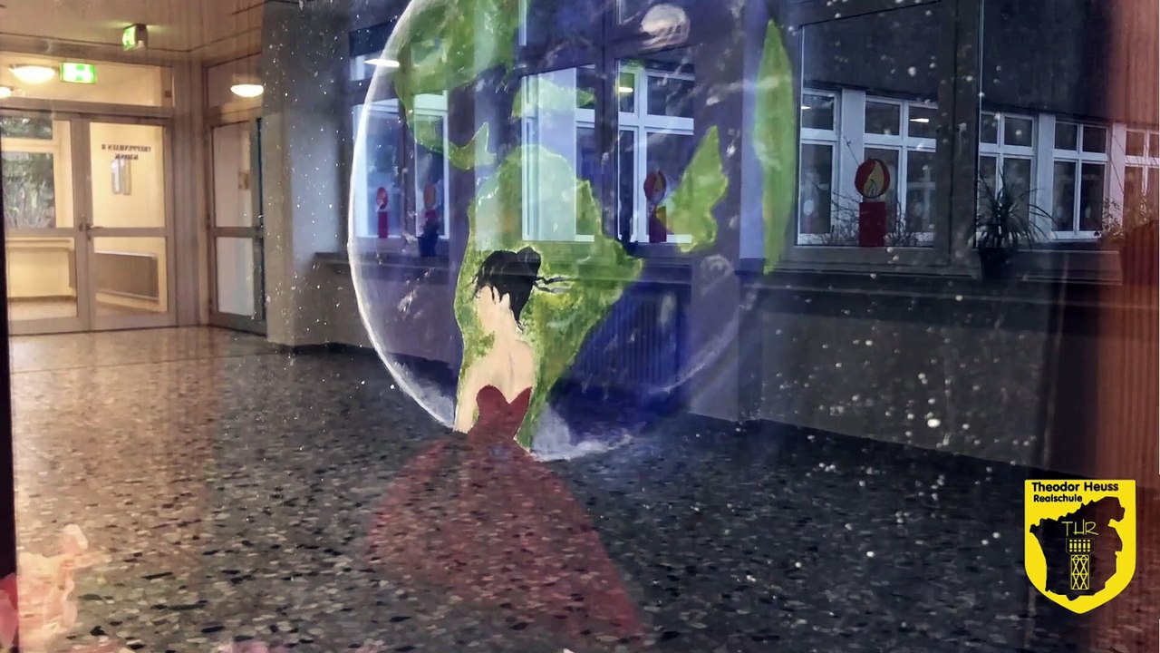 Erasmus Video