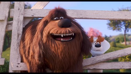 Here Is The Funny Rooster Trailer For 'The Secret Life of Pets 2'