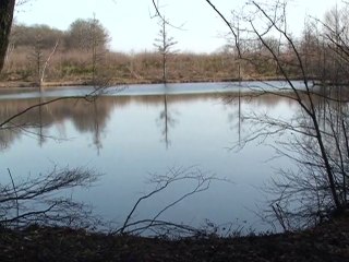 Flâneries autour des étangs de Nantoin 38260_(1)