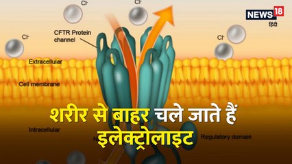 Why Do We Vomit? 🚻