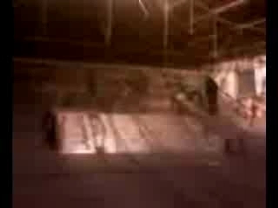 Circus