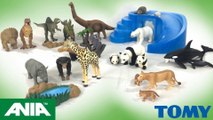 Tomy ANIA Dinosaurs Safari Wildlife Animals Zoo Killer Whale Toy Unboxing || Keith's Toy Box