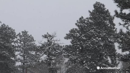 Record amounts of snow blanket parts of Arizona