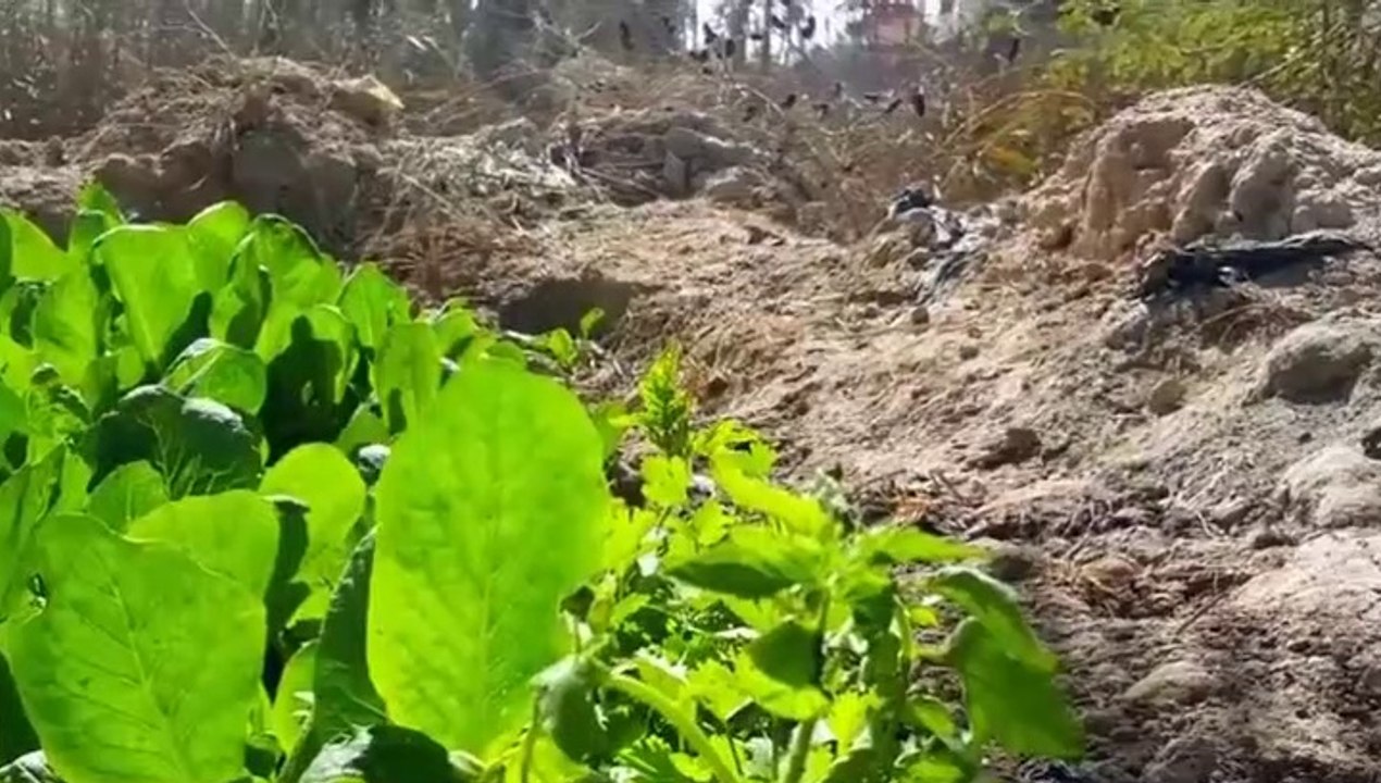 Beautiful views of high HD with fantastic sound