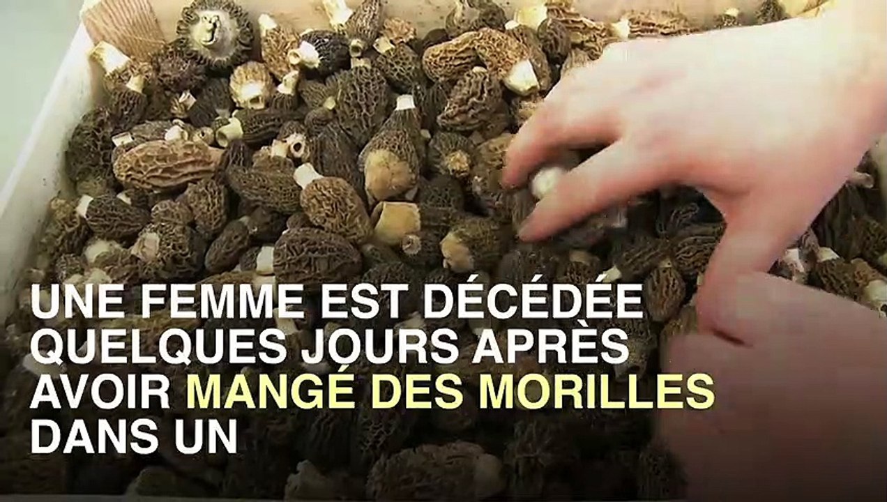 Elle meurt suite à l'ingestion de champignons dans un grand restaurant_