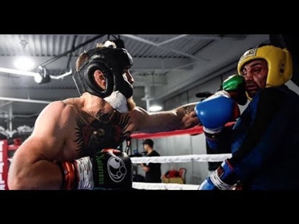 I'LL FIGHT YOU CONOR McGREGOR! -PAULIE MALIGNAGGI HITS OUT AT DANA WHITE, McGREGOR & LEAKED SPARRING