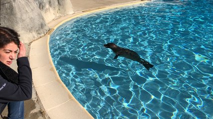 Au zoo de Pont-Scorff