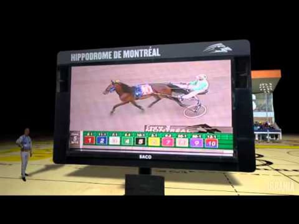 MTL12 - Hippodrome en chiffres