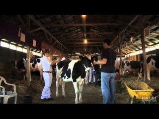 Ormstown : Ma vache est plus lustrée que la tienne - QC12