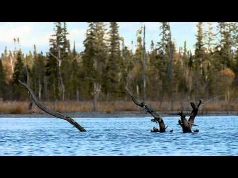 QC12: Ville-Marie - Bande-annonce