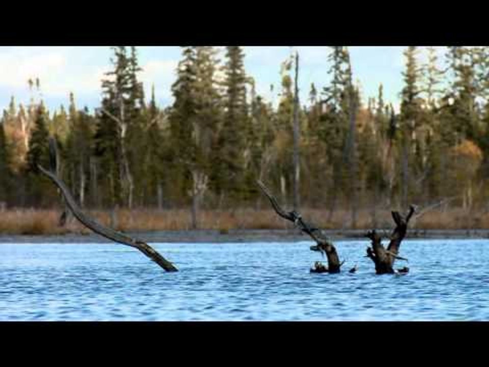 QC12: Ville-Marie - Bande-annonce