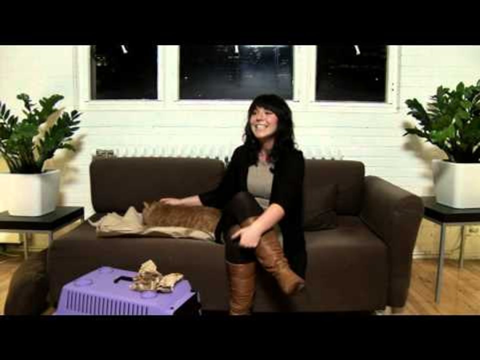 Spécial Gros: Le plus gros chat au Québec - les auditions