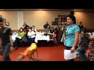 Parade de mode canine