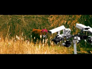 Frelighsburg: Viens ici Ben Laden!