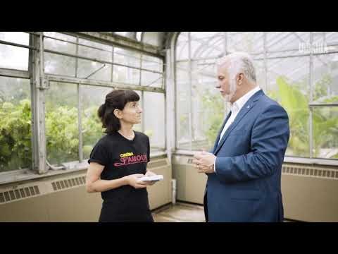 Philippe Couillard - Entre Deux Chaises