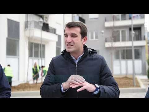 Administratorët e pallateve u bashkohen aksionit për mbjelljen e pemëve - - Vizion Plus