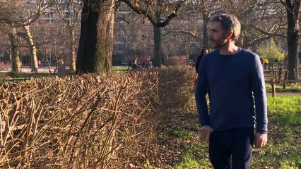 Un jeu sur smartphone pour aider à préserver les oiseaux