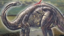 Crazy New Dinosaur Discoveries You Won't Believe Are True