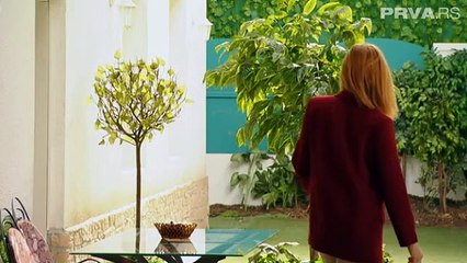 POGRESAN COVEK 105 EPIZODA HD