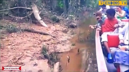 Des touristes nourrissent un anaconda sauvage... Terrifiant