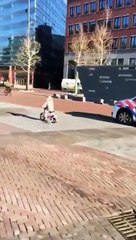 Regardez avec qui cette fillette fait la course en vélo