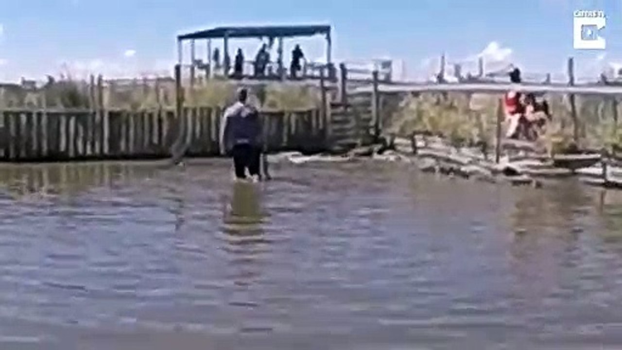 Ce jeune s'amuse à marcher dans l'eau avec des crocodiles et va frôler le drame...