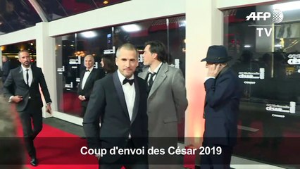 César 2019: arrivées sur le tapis rouge