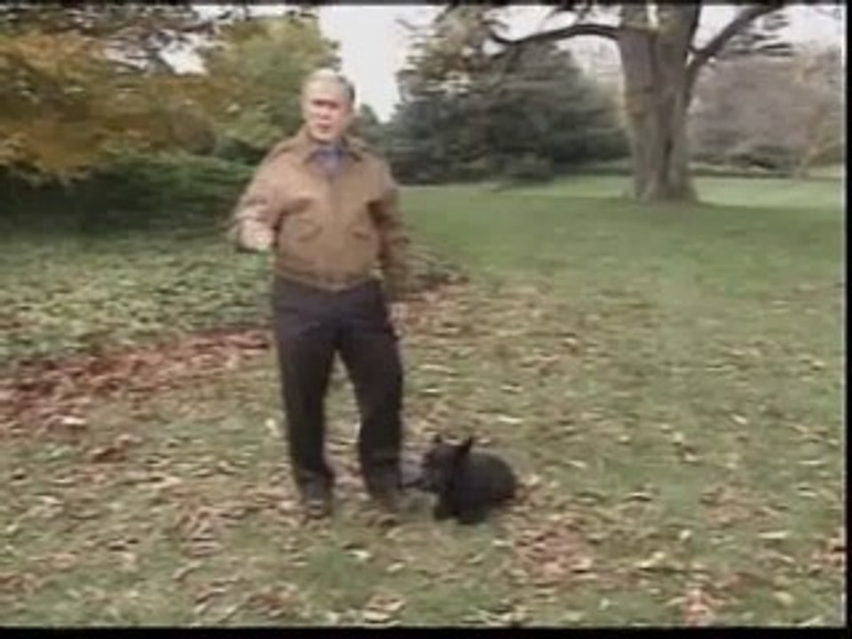 Los Bush presentan su tradicional video navideño