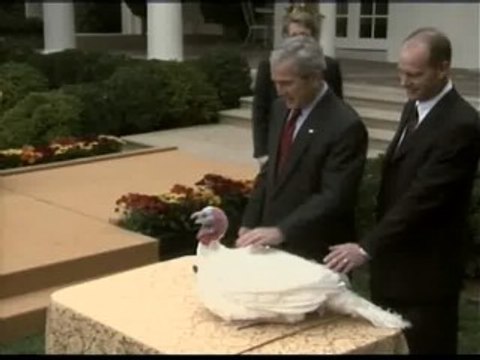 Bush perdona la vida a dos pavos por el Día de Acción de Gracias