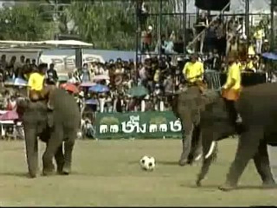 Cientos de elefantes domesticados demuestran su pericia y agilidad en Tailandia