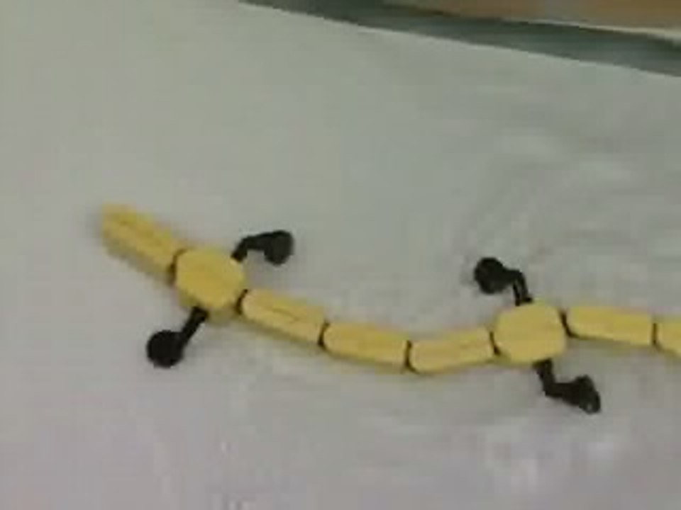 Robot Salamandra