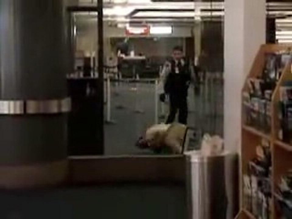 Muerte a descargas en un aeropuerto de Canadá